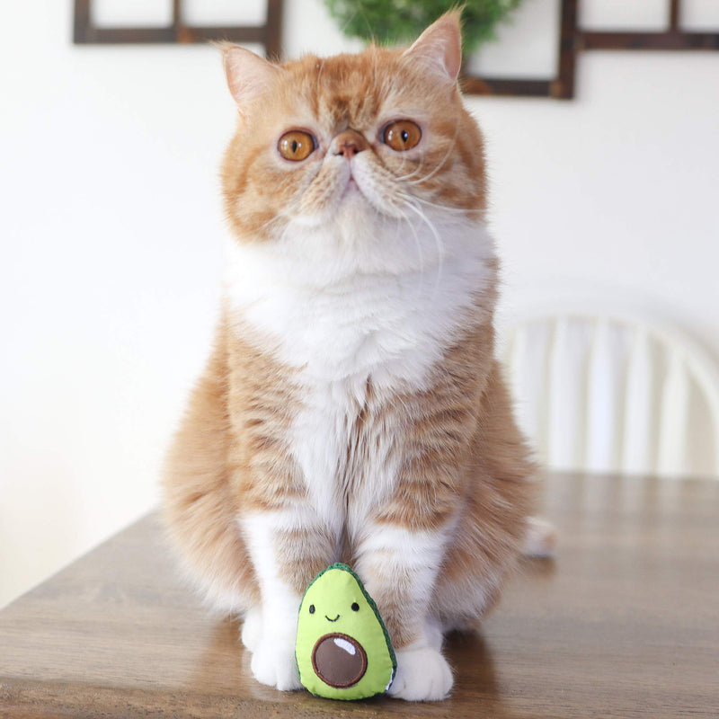 Catnip Foodie Toys Catnip Foodie Toys Avocado - PawsPlanet Australia