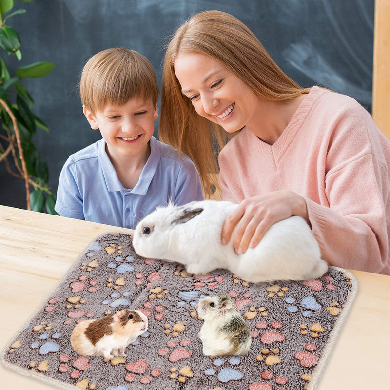 Guinea Pig Mat Bed 3 Layers, 2Pcs Guinea Pig Sleeping Pad Flannel Small Animal Mat Winter Summer for Baby Bunny,Hamster,Squirrel,Chinchilla,Hedgehog (13x16inch) - PawsPlanet Australia