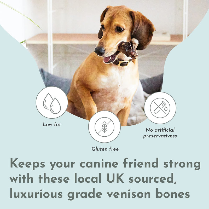 Purplebone Venison Deer Marrow Dog Treats, Pack of 3, Dog Bone Treats for Large or Small Breeds | 100% Natural & Longer Lasting Sticks | Free From Hormones, Additives Or Antibiotics - PawsPlanet Australia