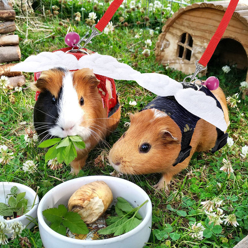 2 Pieces Guinea Pig Harness and Leash with Bell Floral Small Animals Adjustable Harness and Leash Set No Pulling Comfort Padded Rats Vest for Ferret Rats Iguana Hamster Small Pets - PawsPlanet Australia