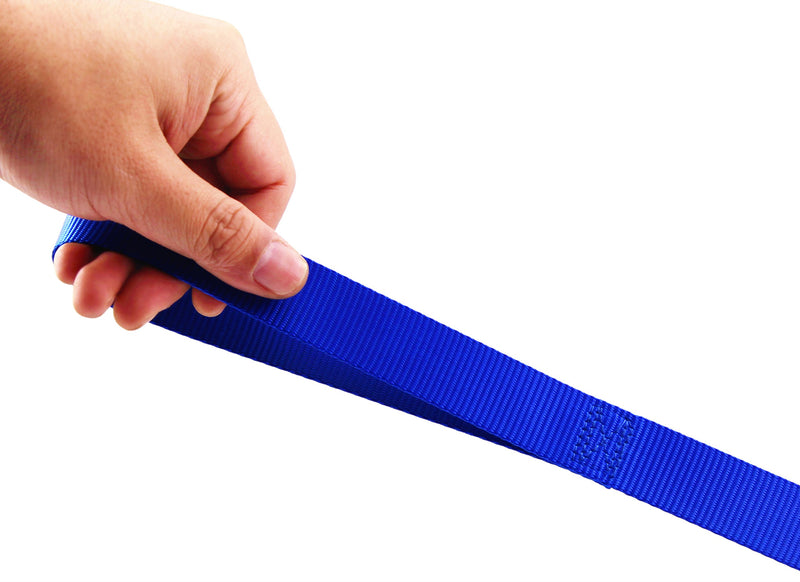 [Australia] - BIG SMILE PAW Dog Leash Nylon Durable Loop Handle,5 Foot Long 1 Inch Wide Blue 