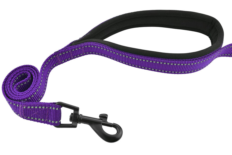 [Australia] - Waggin Tails Soft & Thick 5FT Double Handle Leash with Neoprene Padded Handle for Small to Medium Dog (Vibrant Purple) 