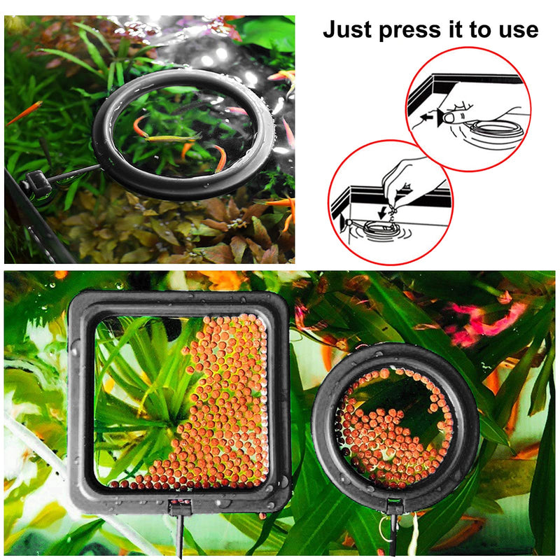 Molain Fish Feeding Ring, 2 Pieces Fish Feeder Aquarium Fish Turtle Tank Accessories Food Feeder Circle For Guppy, Bettas, goldfish, Turtle (Black) Black - PawsPlanet Australia