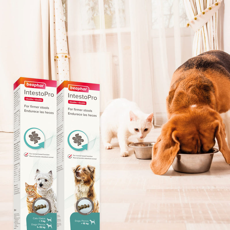 Beaphar IntestoPro Paste for Cats and Dogs - PawsPlanet Australia