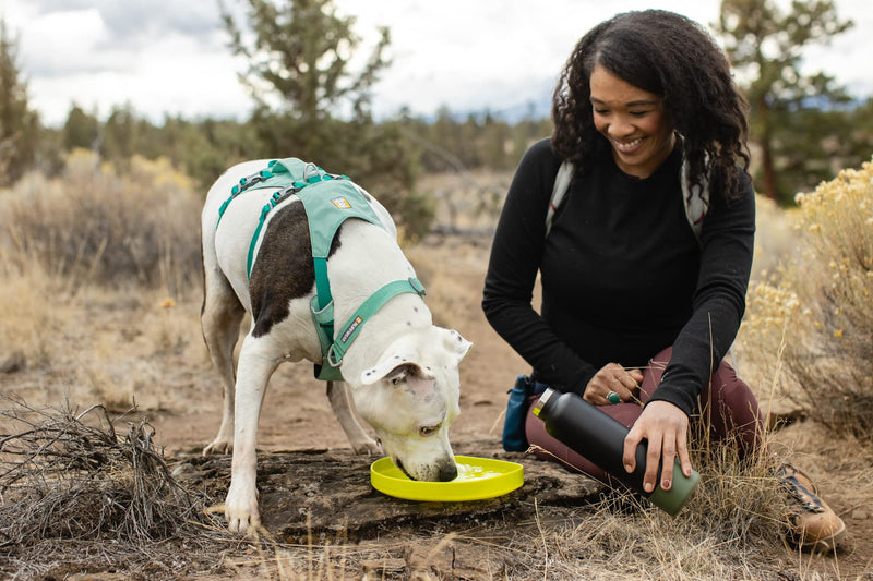 RUFFWEAR Camp Flyer Dog Toy, 2-in-1 Flexible & Puncture-Resistant Throw Catch Flying Disc and Bowl for Pets, Outdoor Long Distance Game Designed Specially for Dogs, Waterproof & Safe, Lichen Green - PawsPlanet Australia