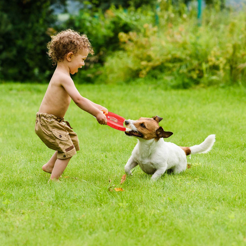 SUKCESO Dog Rope Toys Set. 10 Pcs 100% Cotton Indestructible Interactive Pet Chew Toys for Boredom. Puppy Teething Training Puzzle Toys. Include Ball, Bone, Frisbee for Small Medium Dogs - PawsPlanet Australia