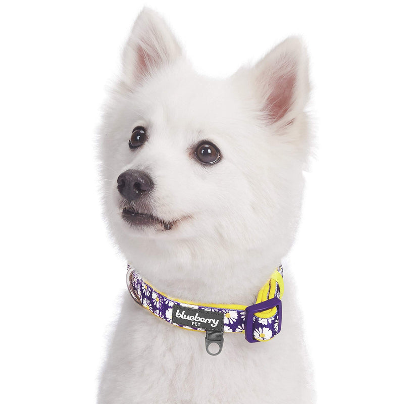 Blueberry Pet 10+ Patterns Soft & Comfy Flower Print Neoprene Padded Dog Collars Collar - Small Daisy - PawsPlanet Australia