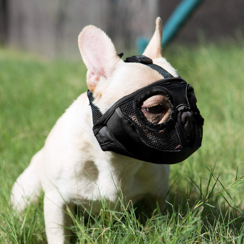 JYHY Short Snout Dog Muzzles- Adjustable Breathable Mesh Bulldog Muzzle for Biting Chewing Barking Training Small/9"-12"(Pack of 1) Black(Eyehole) - PawsPlanet Australia