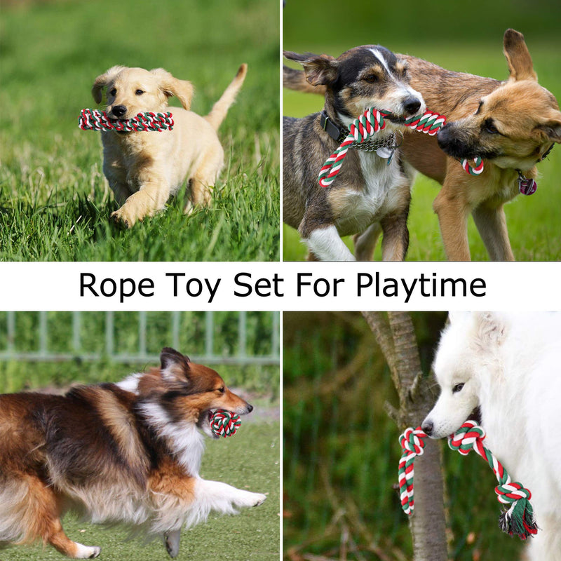 PrimePets 5 PCS Dog Toys, Dog Rope Toys and Flying Disc Set for Small & Medium Dogs, Tough Rope Chew Toys, Interactive Durable Puppy Dog Tug of War for Dog Teething Dental Cleaning - PawsPlanet Australia