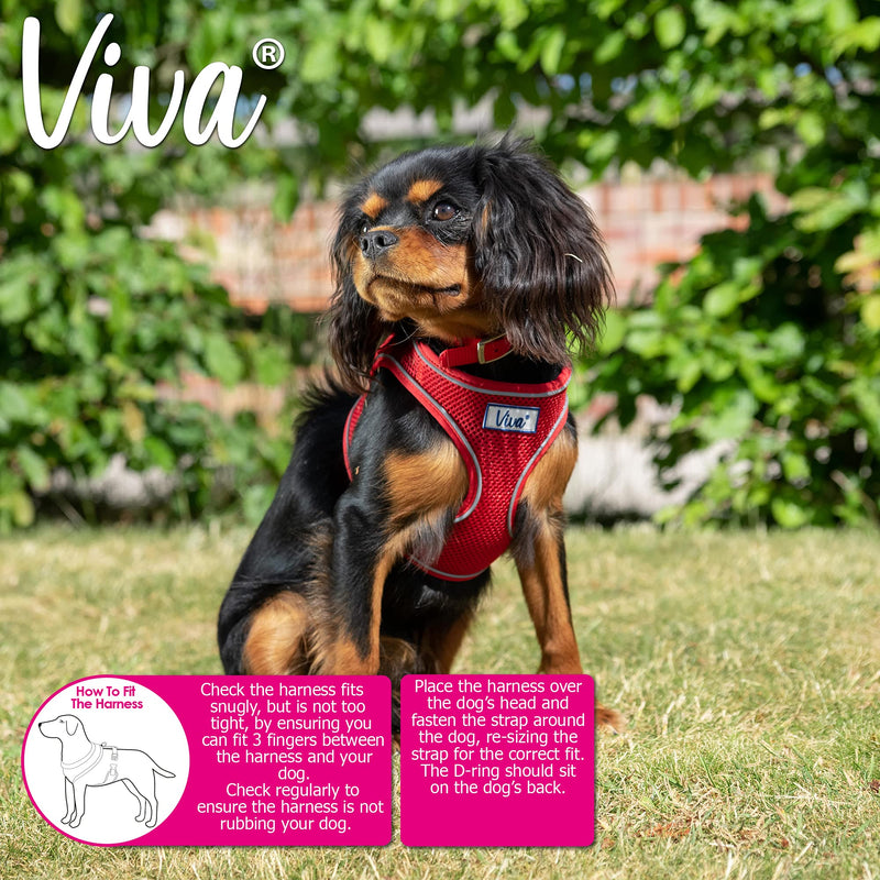 Ancol Viva Lightweight Breathable Comfort Mesh Dog Harness Pink Size Small (Fits Girth 34-45 cm) - PawsPlanet Australia