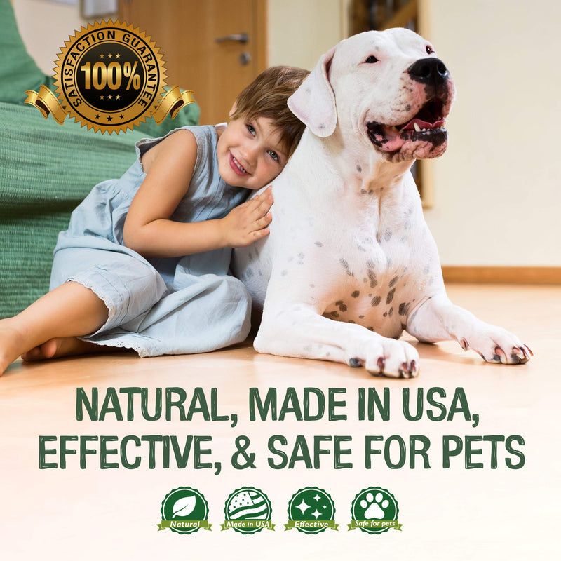 [Australia] - Professional Strength Stain & Odor Remover - Natural Enzyme Cleaner (Bulk 32oz) for Dog & Cat Urine, Waste, Wine, Blood, Vomit, etc. Safe & Effective Pet Smell Eliminator for Carpet, Hardwood & More 