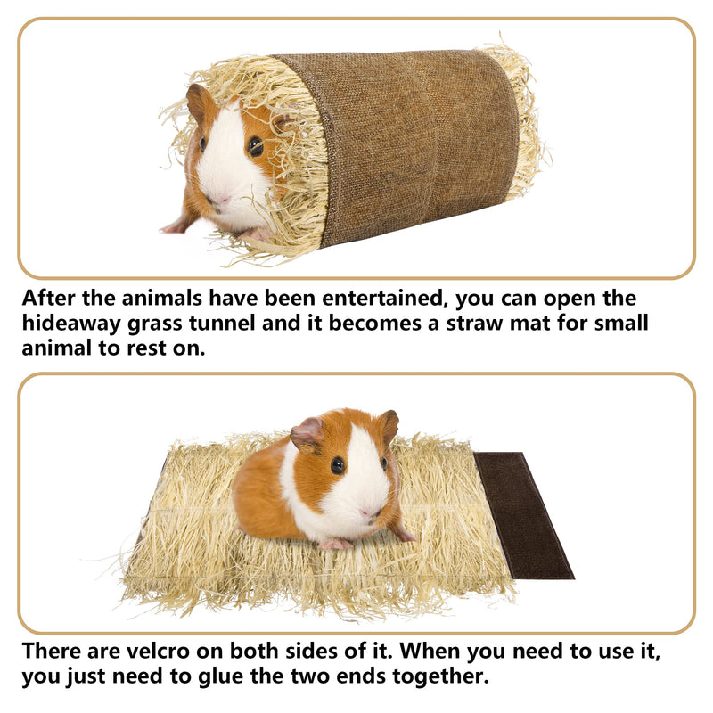 Guinea Pig Grass Tunnel Toy Nature Hideaway Tunnels and Tubes Toys for Small Rabbits Rats Syrian Hamster Ferrets Guinea Pig Chinchilla Hedgehog M - PawsPlanet Australia