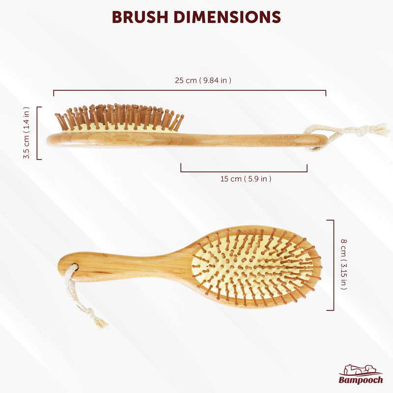 Bampooch Bamboo Dog Brush and Cat Brushes for grooming - Rounded Bristles, Natural Rubber - Grooming Tools for All Hair or Fur Types for a Glossy, Shiny Coat - Dog brush for shedding - PawsPlanet Australia
