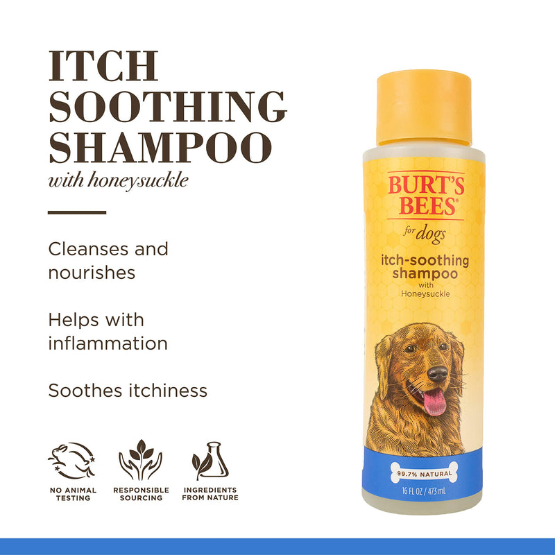 Burt's Bees For Dogs Natural Itch Soothing Shampoo with Honeysuckle | Anti-Itch Dog Shampoo, 16 Ounces - PawsPlanet Australia