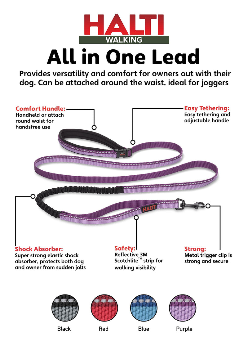 Halti All-In-One Lead (6' 6"), Large, Purple COA0325 Halti All-In-One - PawsPlanet Australia