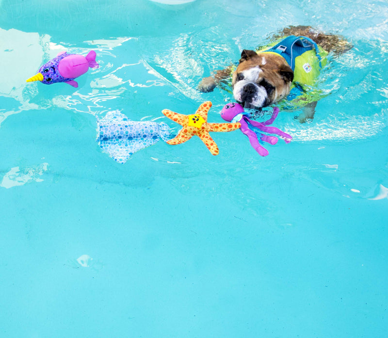 [Australia] - Outward Hound Floatiez Dog Toy - Floating Fetch Pool Toy, Great for Summer Water Fun Turtle 