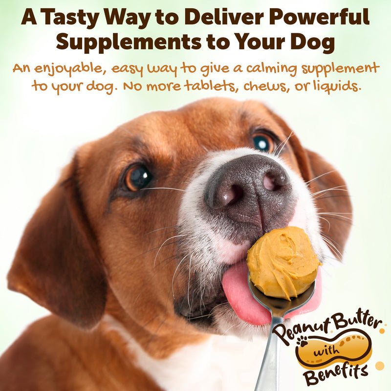 Riley's Calming Peanut Butter for Dogs - Dog Peanut Butter Calming Aid - Separation Anxiety Relief for Dogs - 8.46 oz - PawsPlanet Australia