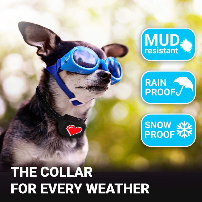 Small Dog Bark Collar Rechargeable - Anti Barking Collar for Small Dogs - Smallest Most Humane Stop Barking Collar - Dog Training No Shock Bark Collar Waterproof - Safe Pet Bark Control Device - PawsPlanet Australia