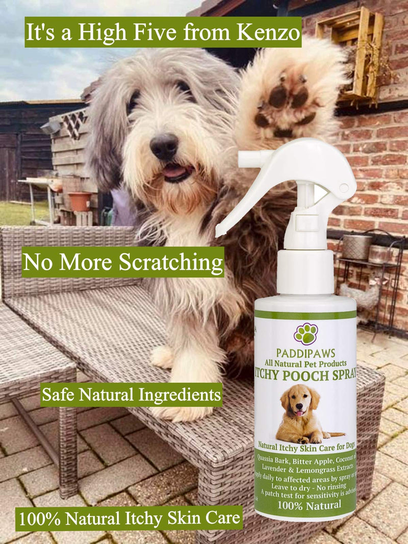 PADDIPAWS 100% Natural Itchy Dog Spray - Relieves Itching and Discomfort caused by Grass and Pollen Allergies - Soothing and Non Sting - Safe Natural Ingredients - Non Toxic and Paraben Free 250ml - PawsPlanet Australia