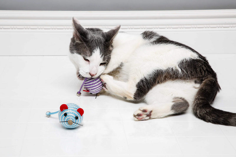 [Australia] - Hartz Cattraction Silver Vine & Catnip Cat Toys Bell Mouse 