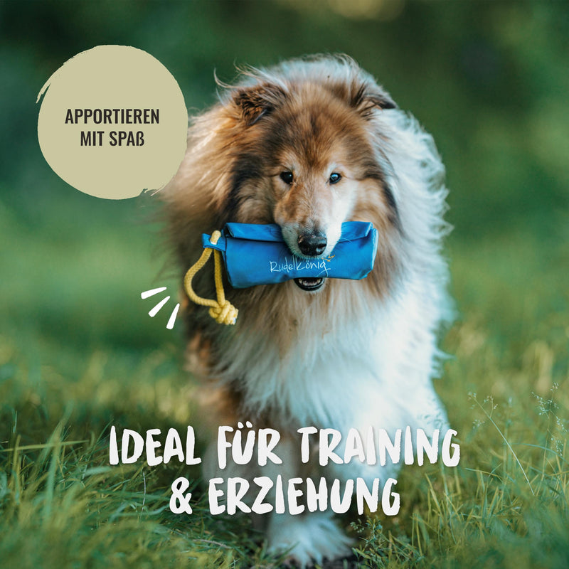 Rudelkönig food bag for dogs - retrieving bag for dog training - robust food dummy for treats blue - PawsPlanet Australia