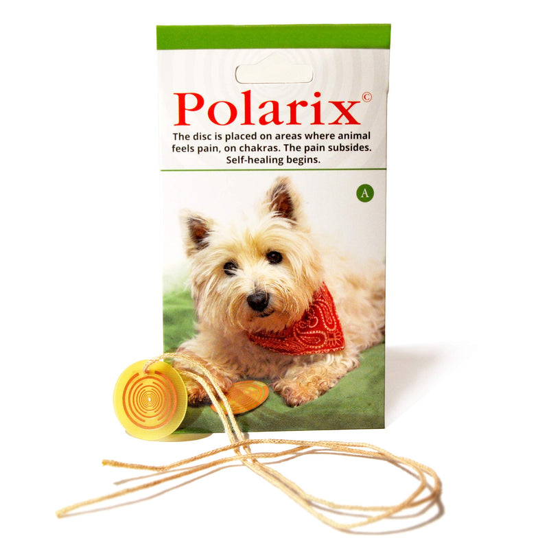 Polarix© for Animals - Pain Relief Disc | Dog Joint Supplement Alternative Medicine | Instant Natural Healing for Dogs Cats Horses & Pets | Chakra Healing Disc Isn`t Dog Toy But Can Become | fi 36 mm - PawsPlanet Australia