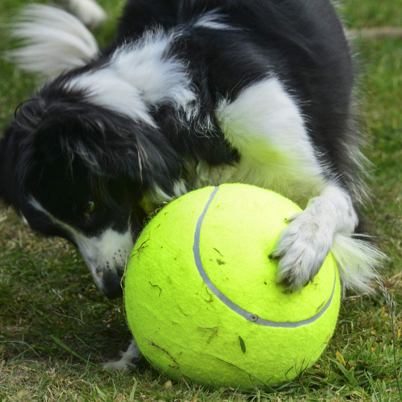 PROtastic Extra large tennis ball - with free ball pump - Great fun for you and your dog - PawsPlanet Australia