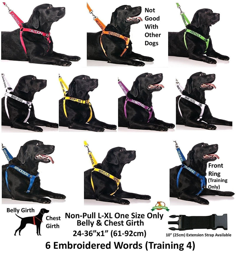 [Australia] - SERVICE DOG (Do Not Disturb/Dog Is Working) Blue Color Coded Non-Pull Front and Back D Ring Padded and Waterproof Vest Dog Harness PREVENTS Accidents By Warning Others Of Your Dog In Advance Small Harness 15-24inch Chest/Girth 