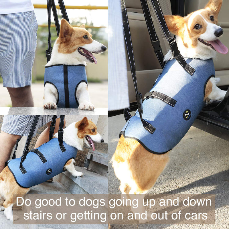 Coodeo Dog Lift Harness, Pet Support & Rehabilitation Sling Lift Adjustable Vest Breathable Straps for Old, Disabled, Joint Injuries, Arthritis, Loss of Stability Dogs Walk Extra Small - PawsPlanet Australia