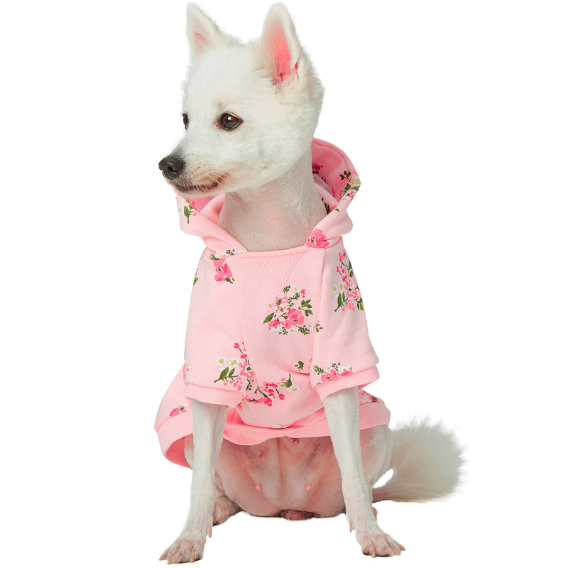 Blueberry Pet 3 Patterns Spring Scent Inspired Rose Flower Pullover Dog Sweatshirts Back Length 8" Sweatshirt - Baby Pink - PawsPlanet Australia