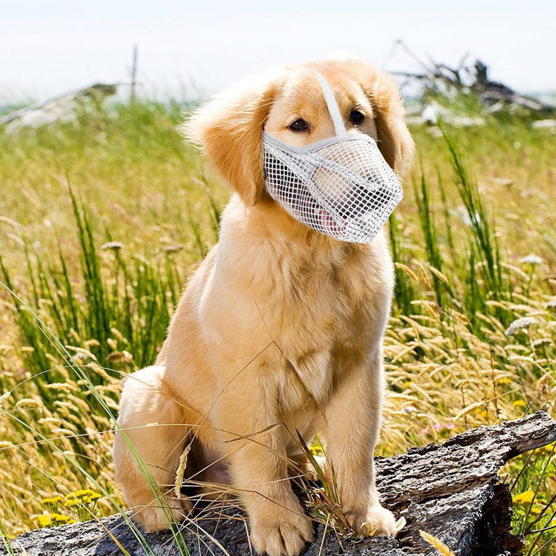 Dog Muzzle, Nylon Mesh Dog Muzzle, Breathable Pet Muzzle, Adjustable Dog Muzzle, Prevents Biting, Chewing and Barking(Gray) - PawsPlanet Australia