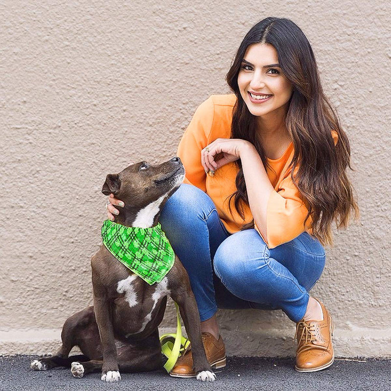 [Australia] - MEWTOGO 2pcs St. Patrick's Day Triangle Pet Dog Bibs Dog Bandanas Plaid-2 Set 