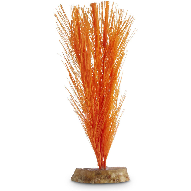 [Australia] - Imagitarium Orange Feather Silk Plant Medium 