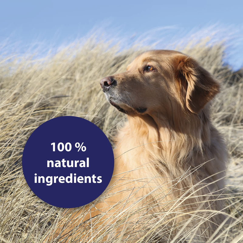 Canosept Skin Care Spray for Dogs 250 ml - Regenerates and Nourishes the Skin - 100percent Natural and Particularly Mild - Also Suitable for Long Coat - PawsPlanet Australia