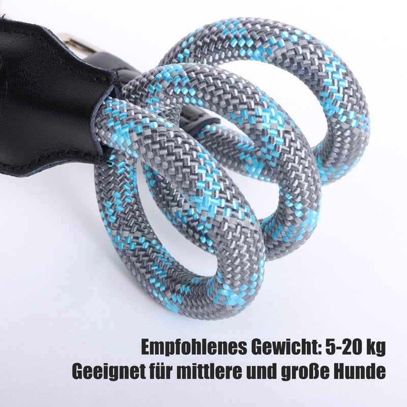 Lollanda Short Dog Lead for Medium Large Dogs, Nylon Dog Lead, 80 cm Training Lead, Dog Lead with Padded Handle, Short Lead Dog Rope, Reflective Dog Lead (Blue) Blue - PawsPlanet Australia