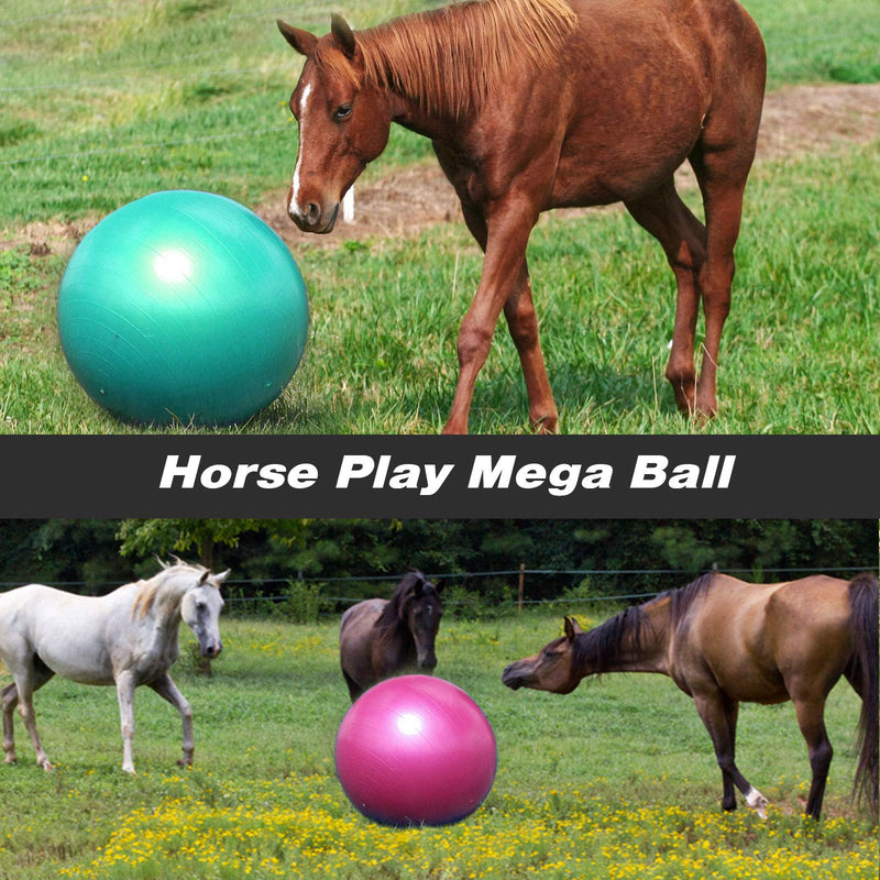 Harrison Howard Mega Horse Play Ball Anti-Burst Giant Horse Ball Horse Soccer Ball 25 Inch-Turquoise - PawsPlanet Australia