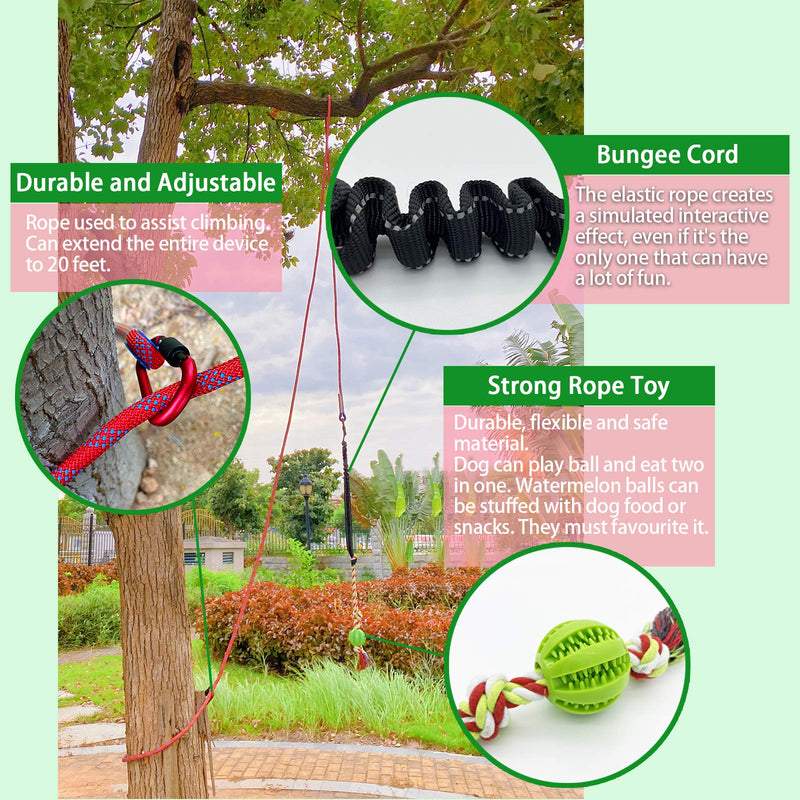 [Australia] - NEECONG Dog-Bungee-Toy Outdoor Dog Toys for Large or Small Dogs，Durable Tugger for Tug-of-War with Chew Rope Toy，Dog Outdoor Bungee Hanging Toy to Solo Play 