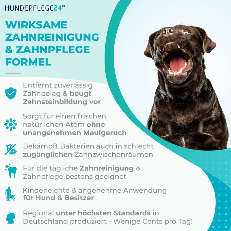 Hundepflege24 dental spray for dogs and cats - healthy, clean, strong teeth and fresh breath with natural active ingredients such as chamomile, calcium and mint - dental care spray for dogs (2x 150ml) 2x 150ml - PawsPlanet Australia