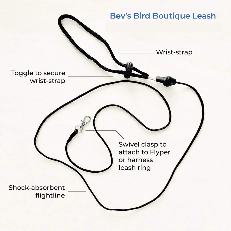 [Australia] - Bev's Bird Boutique - Patriot Flyper Xtra Large - Open Back Style 17 