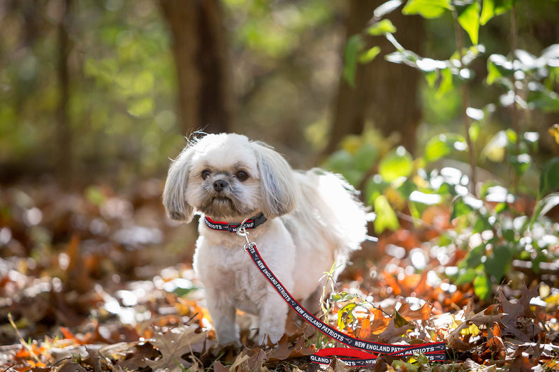 [Australia] - Pets First New England Patriots Leash, Small 