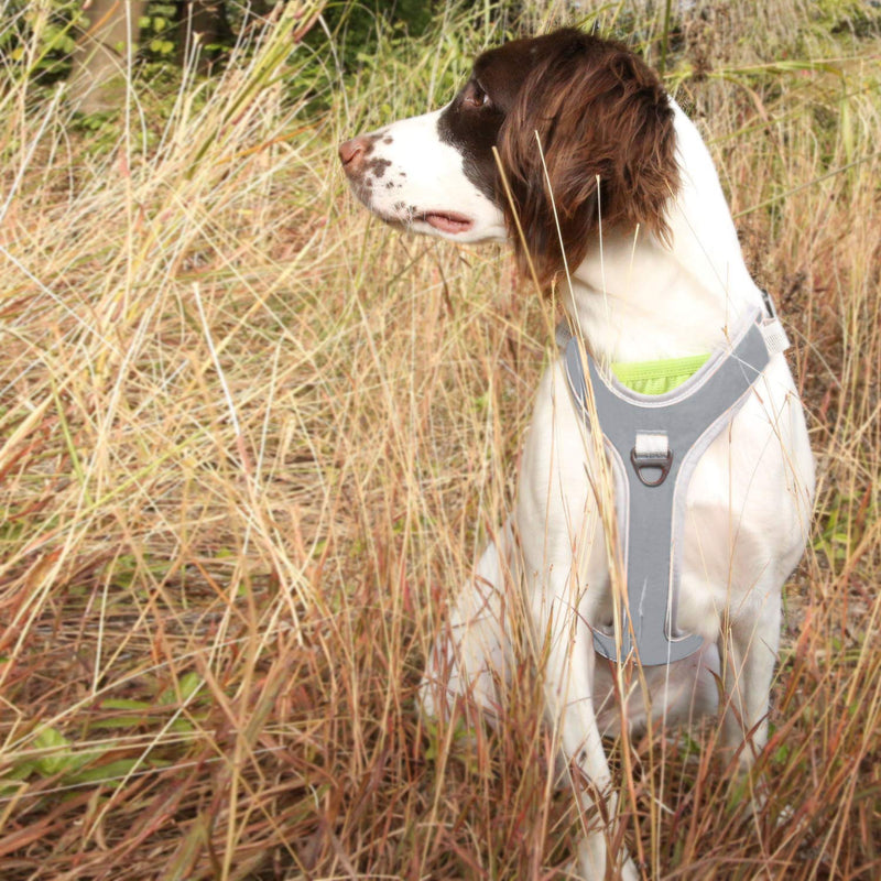 Lightweight Dog Harness No Pull Large Dogs, Adjustable Pet Vest Harness Dog with Reflective Strips Easy Control Dog Harness for Medium Large Dogs Walking Training Gray M Lightweight Harness Gray - PawsPlanet Australia