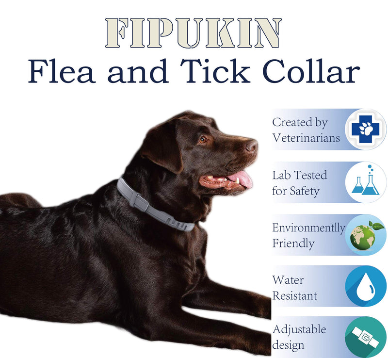 Flea and Tick Collar for Dogs, Natural and Safe Flea and Tick Collar for Large Dogs, 2×8 Months Protection, Waterproof, One Size Fits All, 2-Pack, Charity! - PawsPlanet Australia