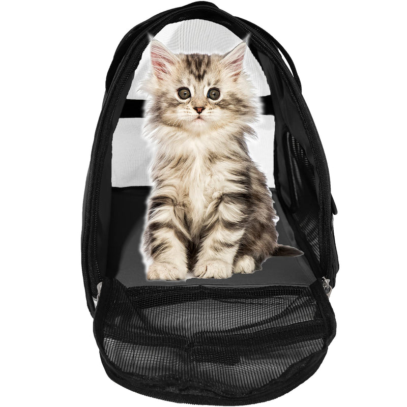 MuchL Cat Carrier Soft-Sided Pet Carrier for Small Medium Cats, Puppies, Dog Carrier Pet Travel Bag for Small Dogs Comfort Portable Foldable Pet Bag Airline Approved (Medium Black) - PawsPlanet Australia