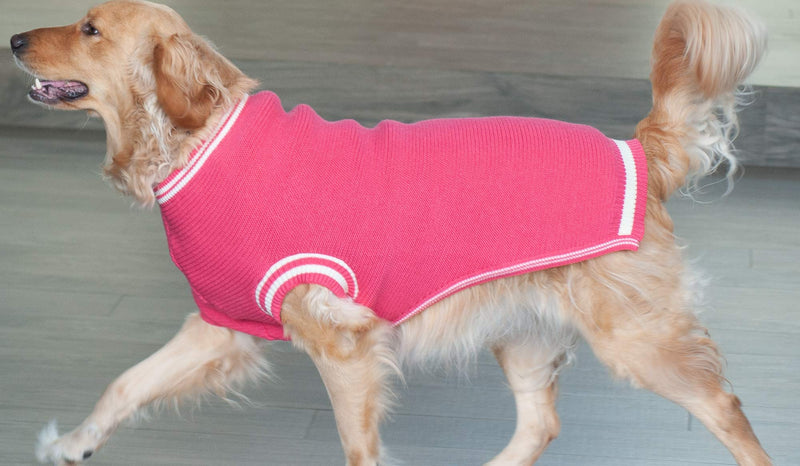 Dog Sweater Knitted, Warm pet Clothes, for Medium and Large Dogs (Medium, Coral) Medium (Chest: 21.2" Length: 18.5") - PawsPlanet Australia