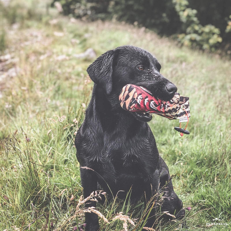 The Original Clone® Realistic Game Bird Dog Training Dummies - Pheasant, Partridge & Snipe Gundog Training Dummy (1lb Pheasant Dummy) 1lb Pheasant Dummy - PawsPlanet Australia