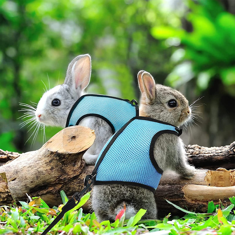 Rabbit Harness Adjustable with Leash Soft Rabbit Harness for Small Animals Hamsters Guinea Pigs Cats Belly: 28-37cm Neck: 18-27 cm - PawsPlanet Australia