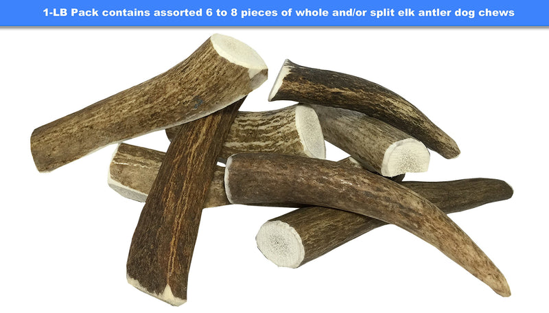 [Australia] - Deluxe Naturals 1-LB Pack Antlers for Dogs, Grade A Premium Naturally Shed Elk Antlers for Dogs, Product of USA 1-Pound Small 