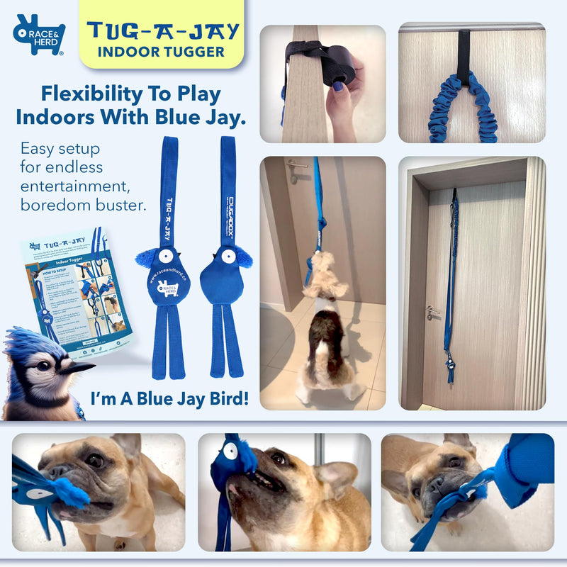 Race&Herd Tug-A-Jay - Dog Bungee Tug Toy, Tug of War Dog Toy Tree Tugger, Tether Tug of War | Adjustable 124" Rope Dog Toys, Dog Boredom Buster Toys | Squeaky Dog Toys & Crinkle Dog Toy Interactive Exercise Play Rope Cord, Tether Tug - PawsPlanet Australia