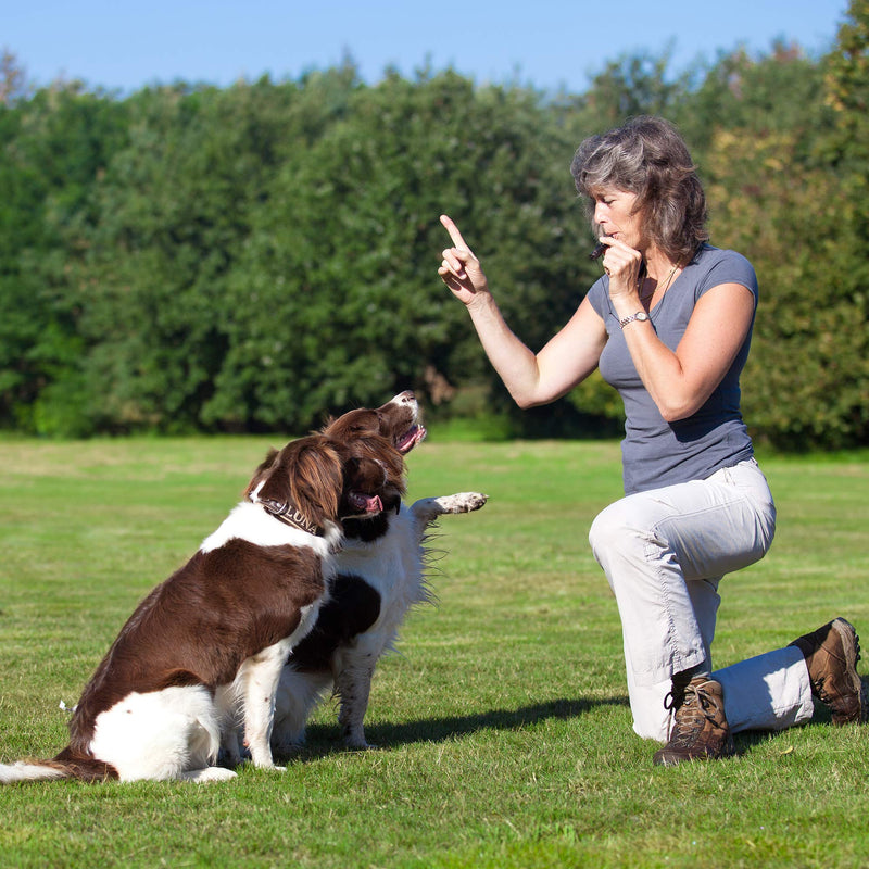 Pet Mania - 5 Professional Metal Dog Training Whistles with Keyring Attachment - PawsPlanet Australia
