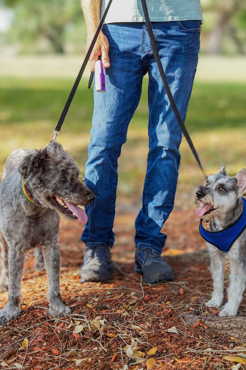 Doggie Don't Device - Audible Handheld Dog Repellent, Bark Control Device and Dog Training Aid - Loud Patented Sound Stops Barking and Bad Behaviors - No Shock and Humane (Purple) - PawsPlanet Australia